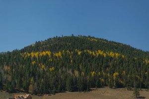 20201020FallColors2020084.jpg